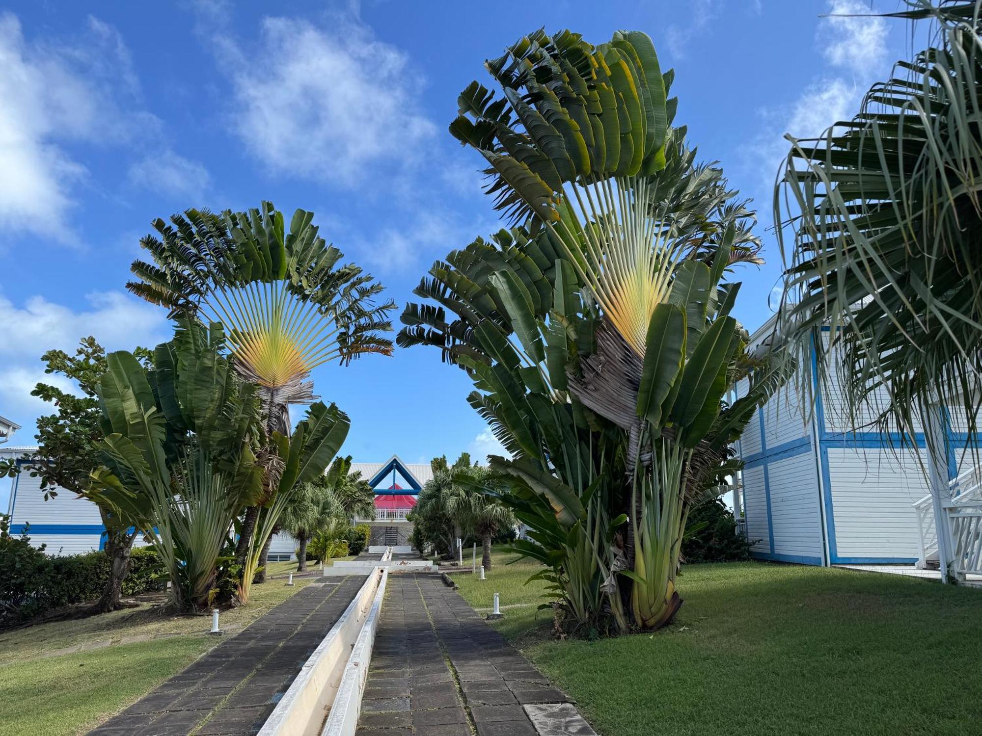 Ticarbets T3 - Residence Manganao - En Bord De Plage Saint-Francois  Exterior photo